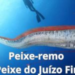 Peixe-remo o Peixe do Juízo Final