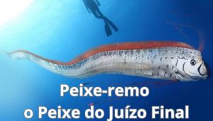 Peixe-remo o Peixe do Juízo Final