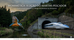 biomimética Shinkansen